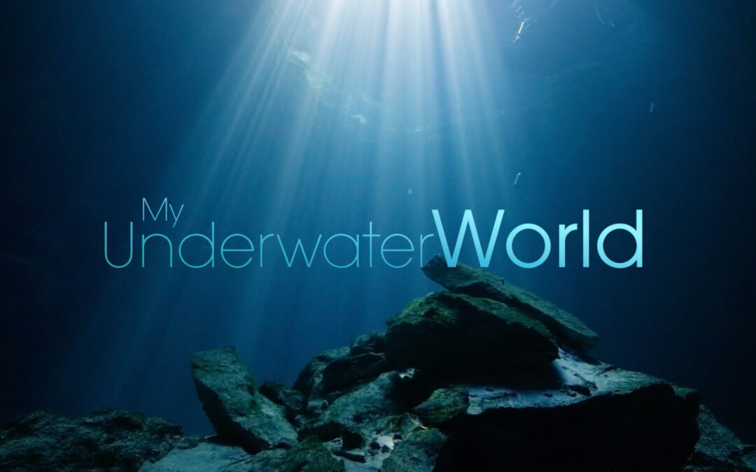 My Underwater World scores top ratings