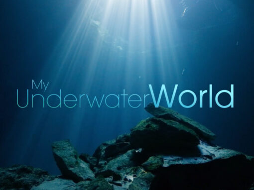 My Underwater World